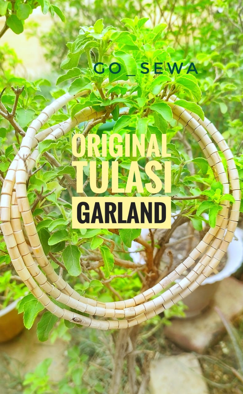 Original Tulasi kanthi Mala from Vrindavan 🌿