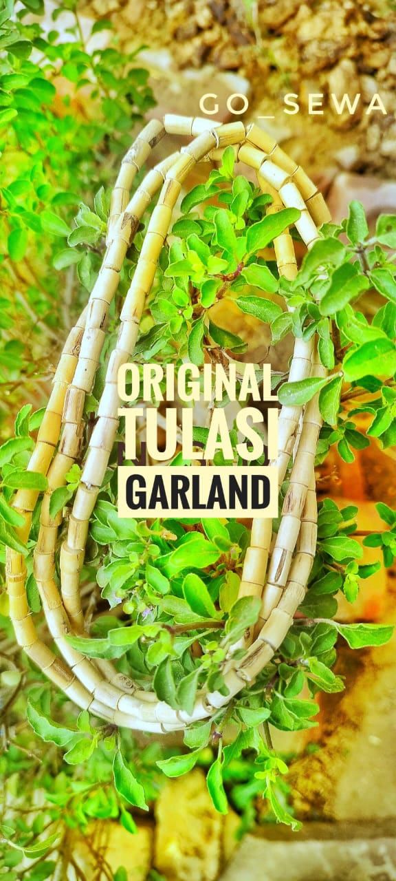 Original Tulasi kanthi Mala from Shri Dham Vrindavan