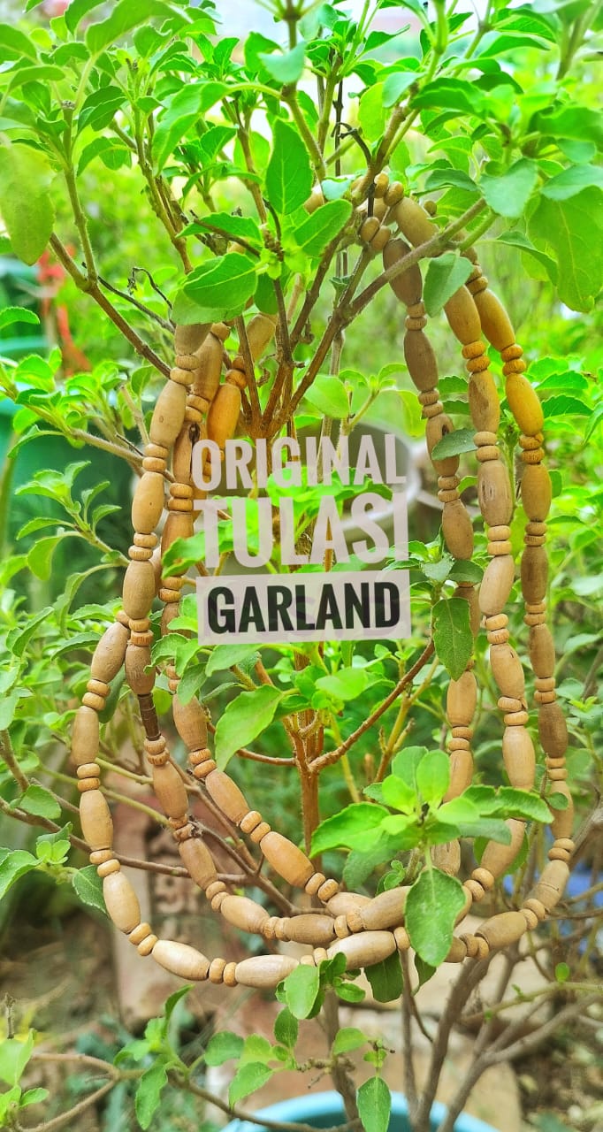 Original Tulsi kanthi Mala – Handcrafted for Devotional Bhakti